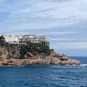 Apartamento Premium de 3 Dormitorios
